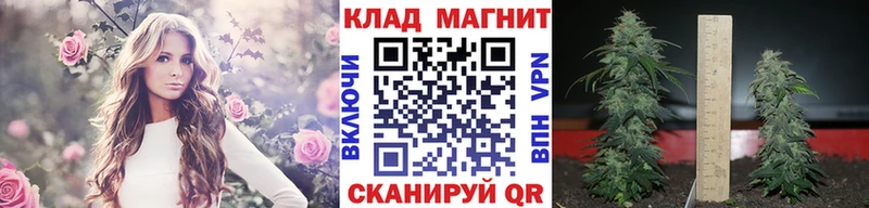 Наркота Весьегонск Гашиш  Канабис  Cocaine  Alpha PVP  Меф 