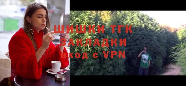 Альфа ПВП Медногорск