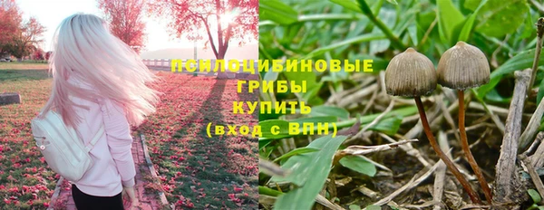 соль курить ск Белокуриха