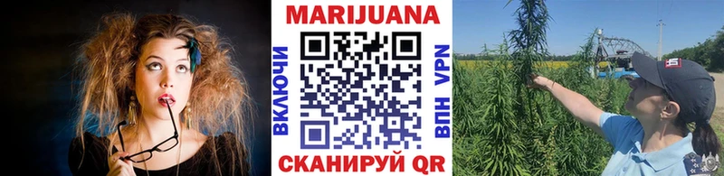 где можно купить наркотик  Весьегонск  Бошки Шишки Amnesia 